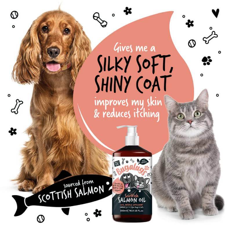 Bugalugs Scottish Salmon Oil for Dogs & Cats 500ml boosts Omega 3 for skin and coat health.
