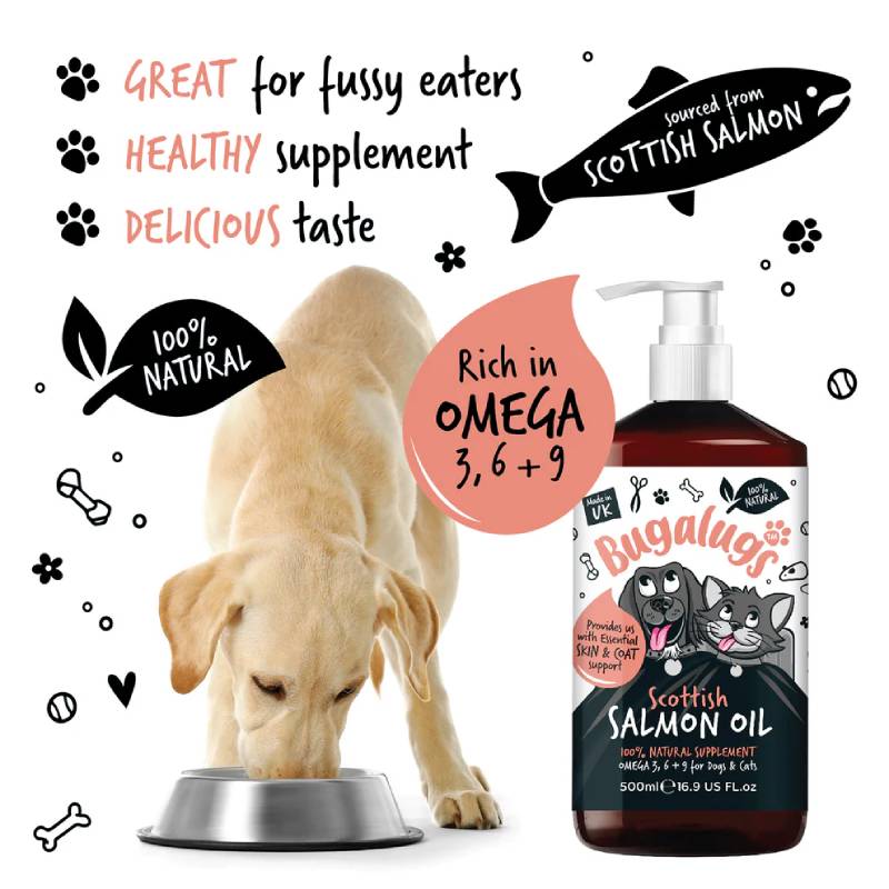 Dog eating by Bugalugs Scottish Salmon Oil for Dogs & Cats 500ml to support skin and coat health.