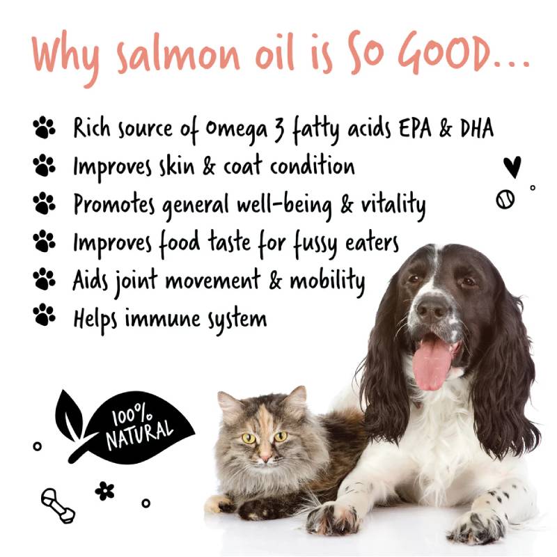 A dog and cat sit together by Bugalugs Scottish Salmon Oil for Dogs & Cats 500ml.
