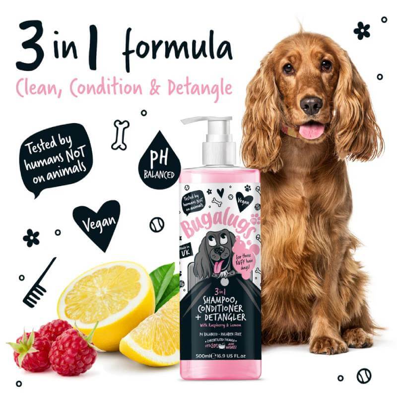 A dog with Bugalugs 3in1 Raspberry & Lemon Detangle Dog Shampoo & Conditioner, 250ml.