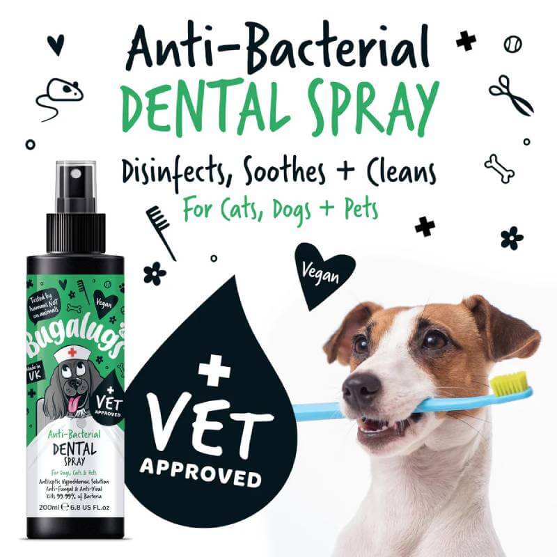 Dog with Bugalugs Anti-Bacterial Dental Spray for Dogs & Cats 200ml for oral hygiene.