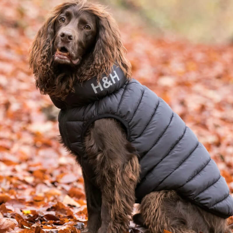 Brown dog in a Hugo & Hudson Puffer sits on autumn leaves outdoors.