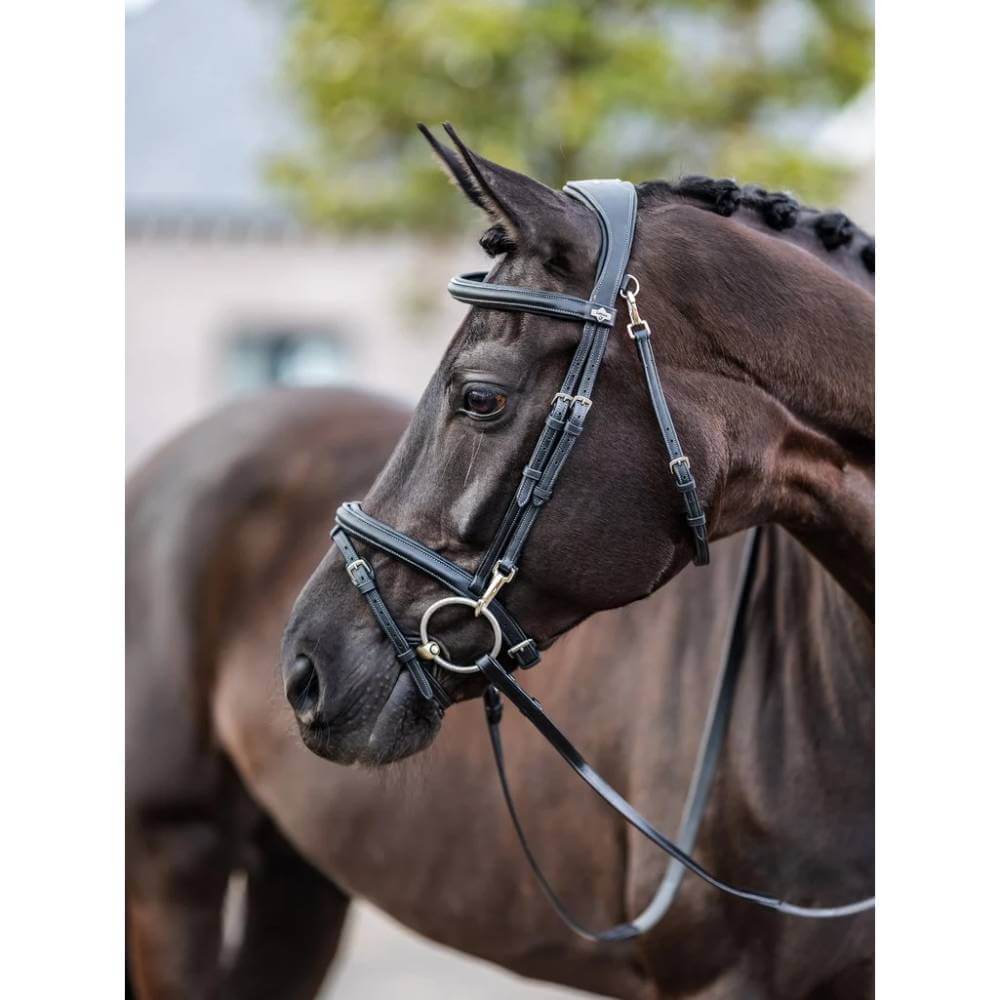 LeMieux Work Bridle Black with silver buckles and anatomic headpiece on white background.