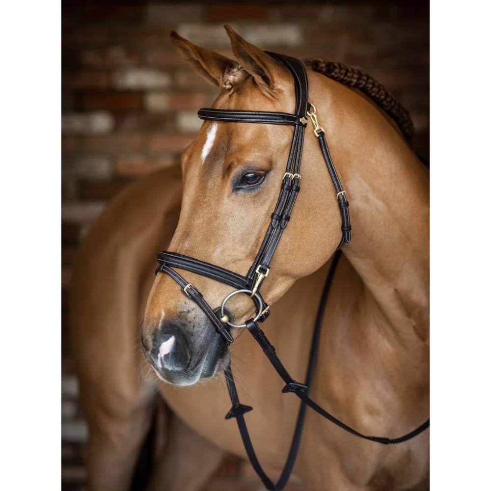 LeMieux Work Bridle Brown: brown leather, brass buckles, anatomic headpiece, white stitching.