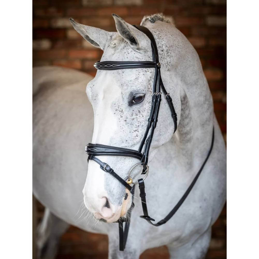 LeMieux Competition Flash Bridle in black, shown against a plain white background.