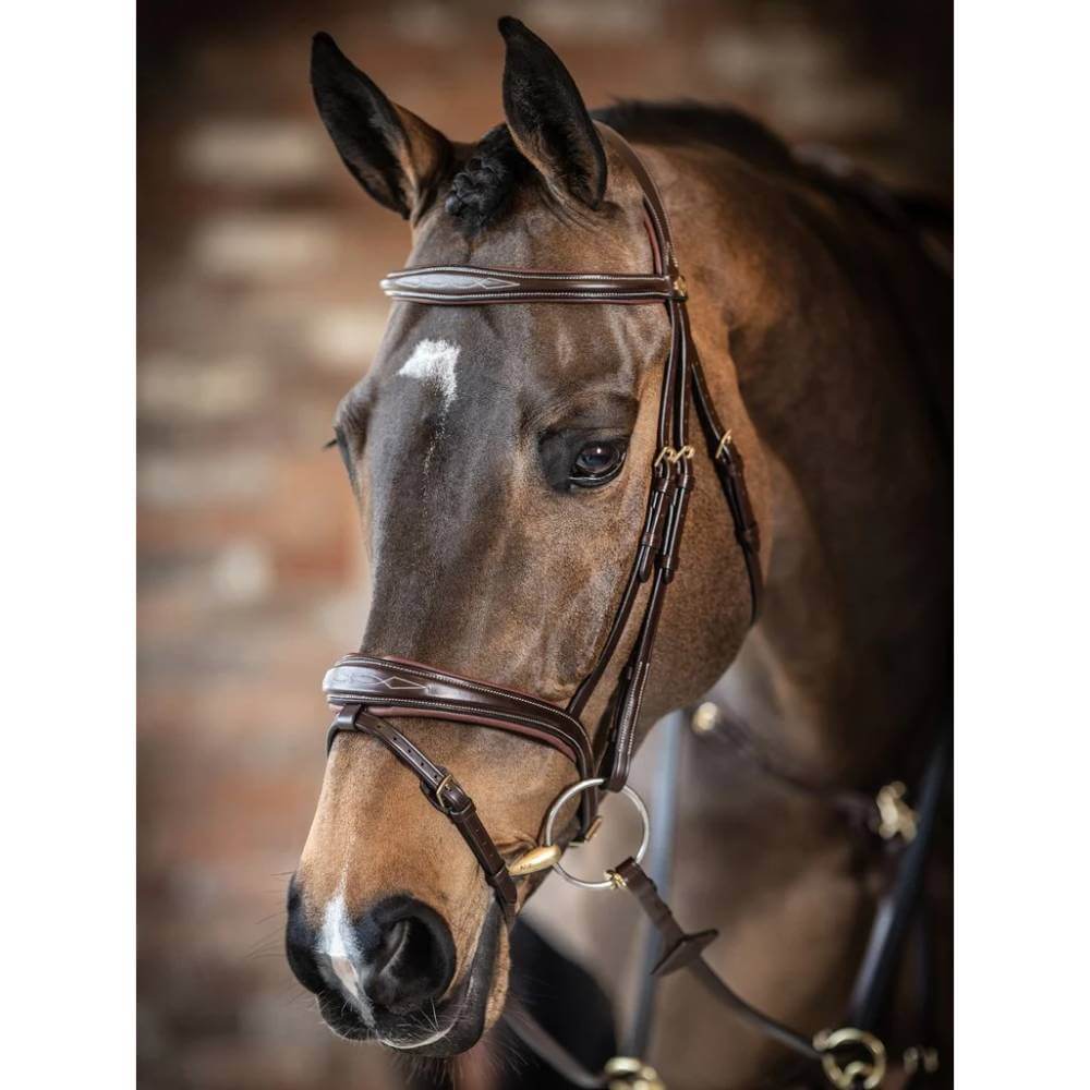 LeMieux Competition Flash Bridle Havana with white stitching and brass hardware.