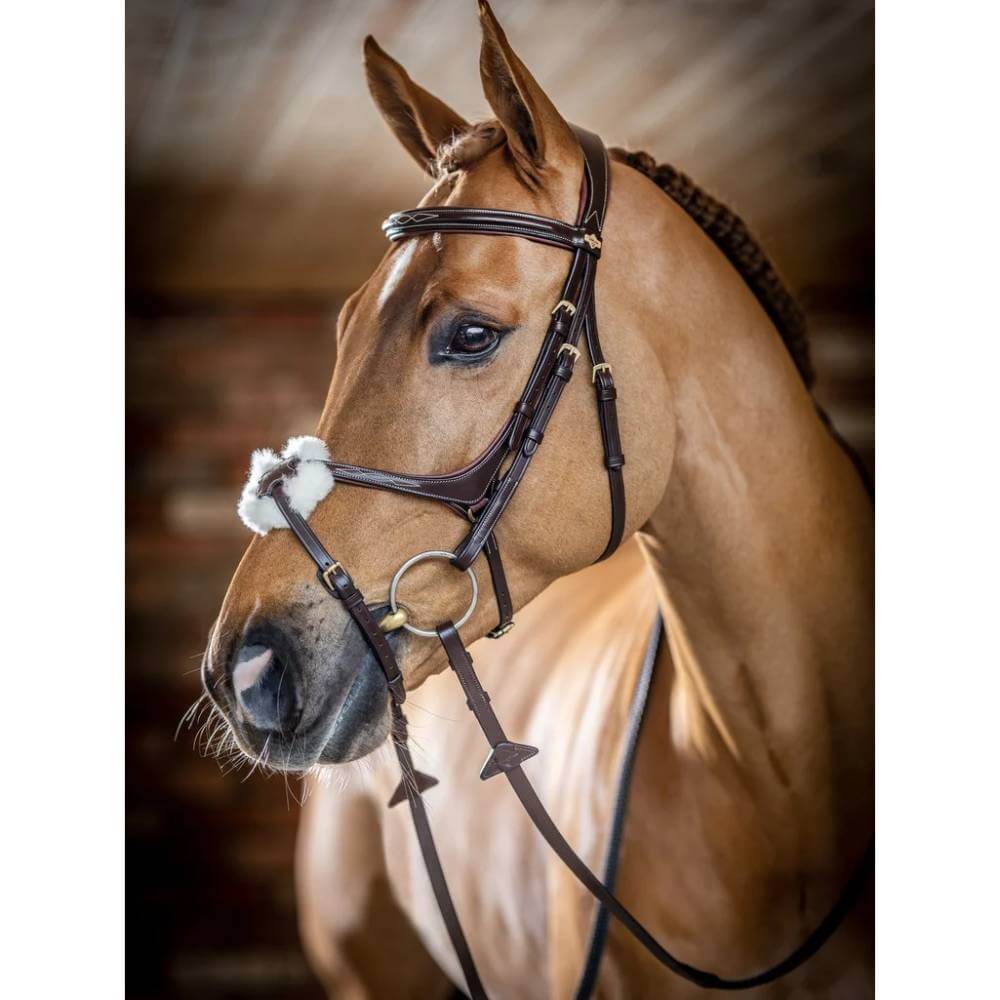 LeMieux Grackle Bridle Havana in premium leather with padded crown and noseband.