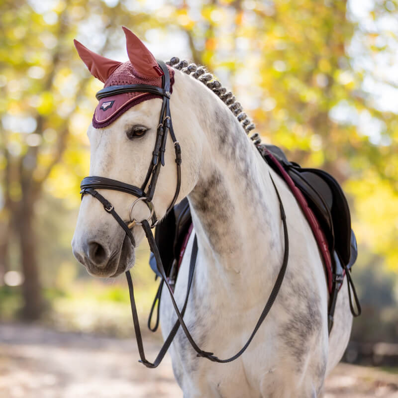 White horse with braided mane in LeMieux Loire Fly Hood Orchid, outdoors, trees blurred behind.