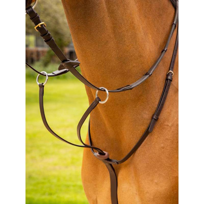 Close-up of a brown horse in LeMieux Arika Running Martingale Brown/Silver on grass.