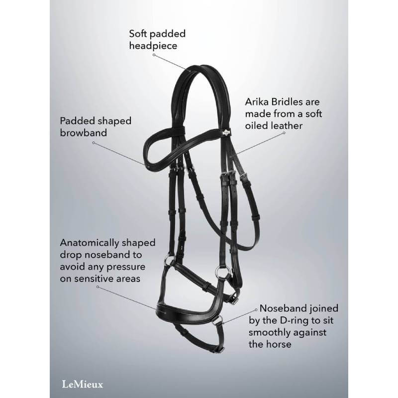 LeMieux Arika Drop Bridle Black/Silver with anatomical browband on a light gradient background.