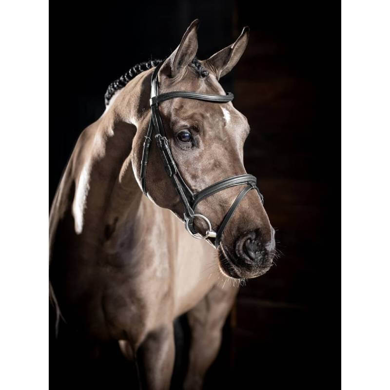 A light brown horse with braided mane wearing a LeMieux Arika Flash Bridle, facing right.