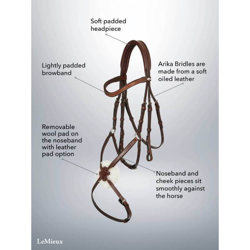LeMieux Arika Grackle Bridle Havana/Silver with anatomical browband on gray background.
