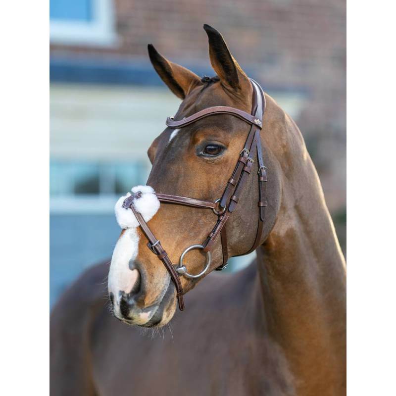 LeMieux Arika Grackle Bridle in Havana/Silver with white fleece noseband on white background.