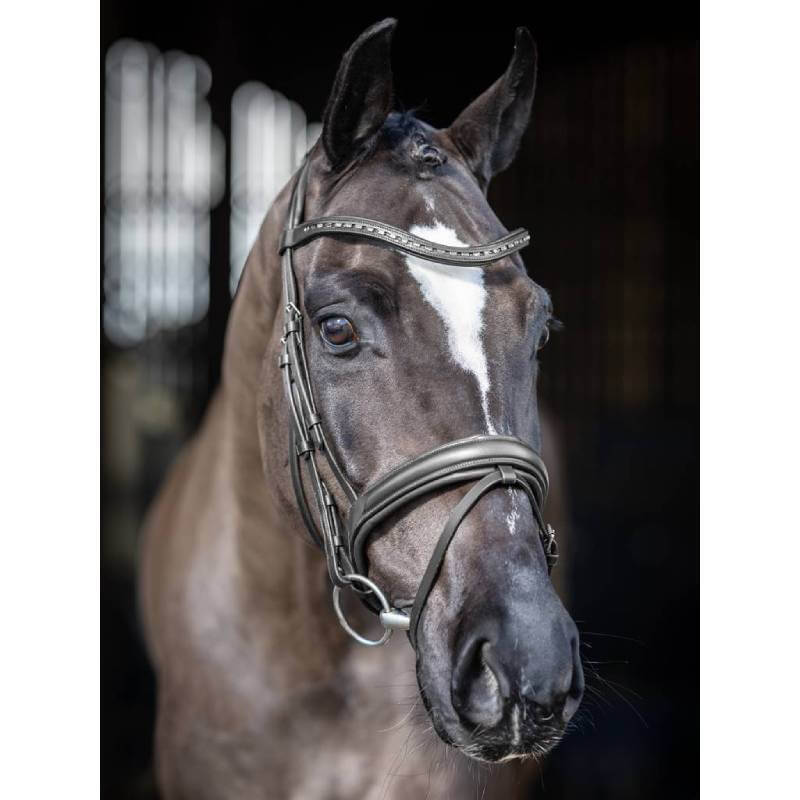 Close-up of a horse in the LeMieux Arika Dressage Bridle Black/Silver with shaped browband.