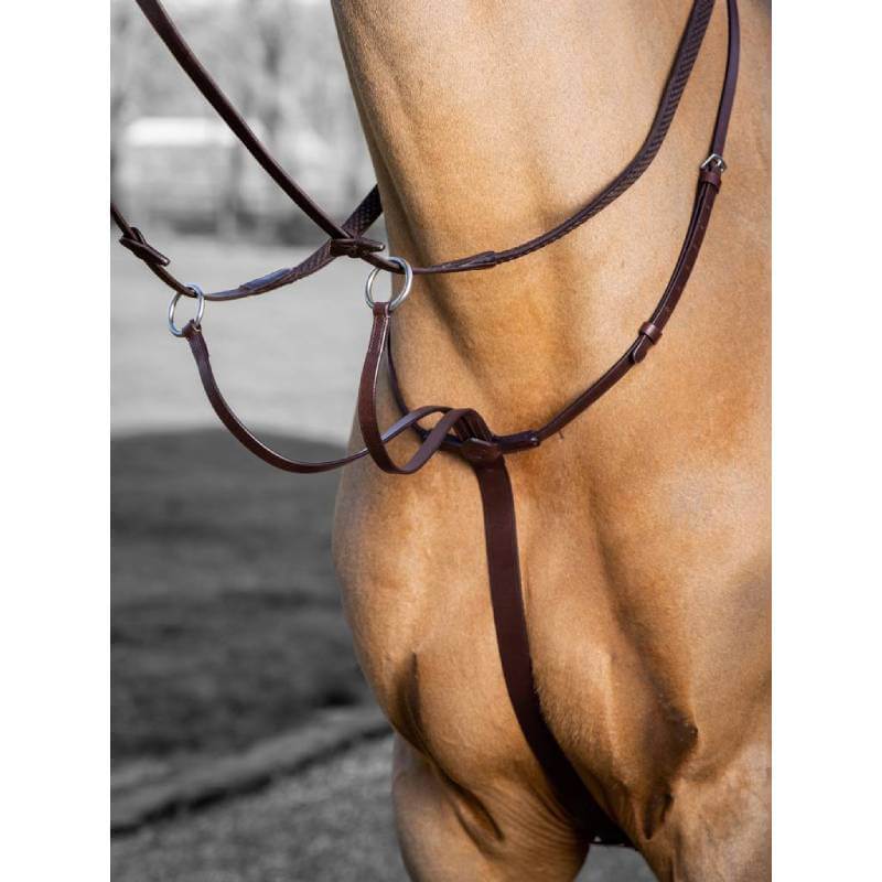 Horse outdoors wearing LeMieux Arika Running Martingale in Havana/Silver by LeMieux.