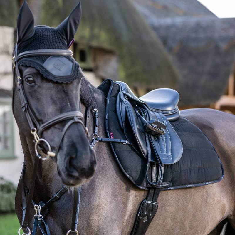 Black horse wears a LeMieux Jump Work Pad Black Large and bridle outside a building.