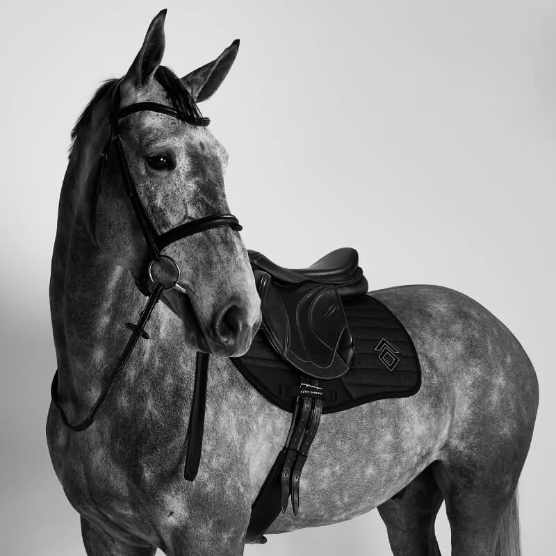 Gray horse in bridle and jump saddle with Aztec Diamond Mesh Saddle Cloth Jump Cut Black.
