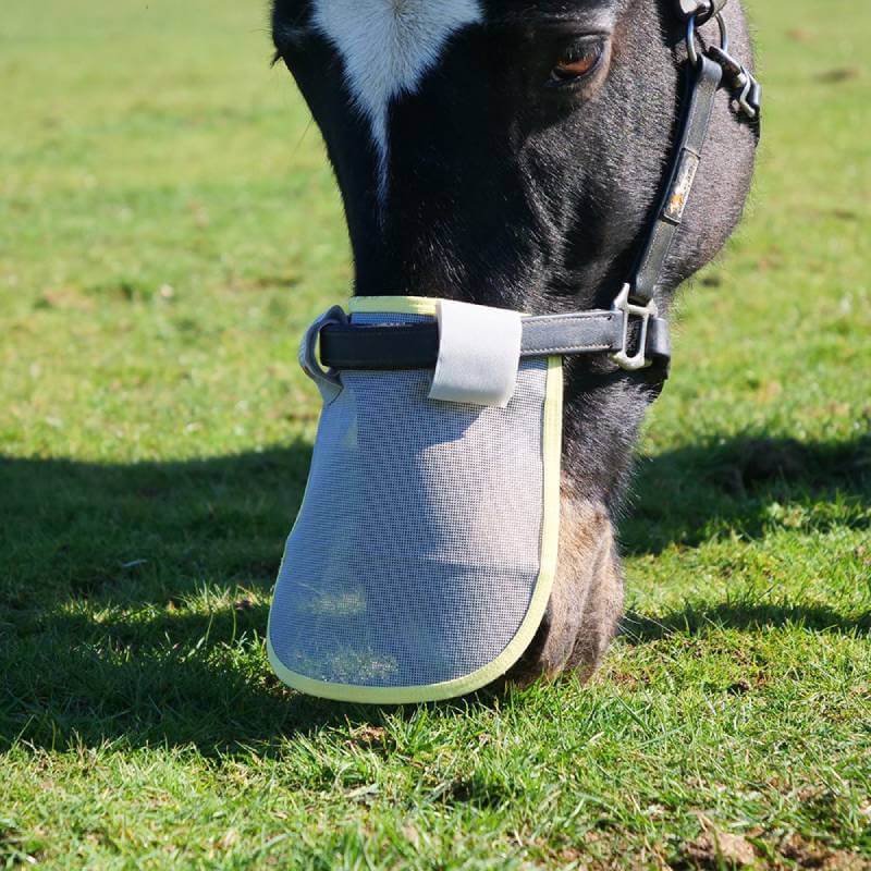A black horse wears the Equilibrium Field Relief Muzzle outdoors on a sunny day.