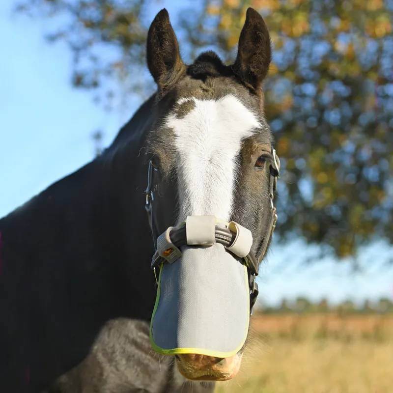 A black horse wears the Equilibrium Field Relief Muzzle outdoors on a sunny day.