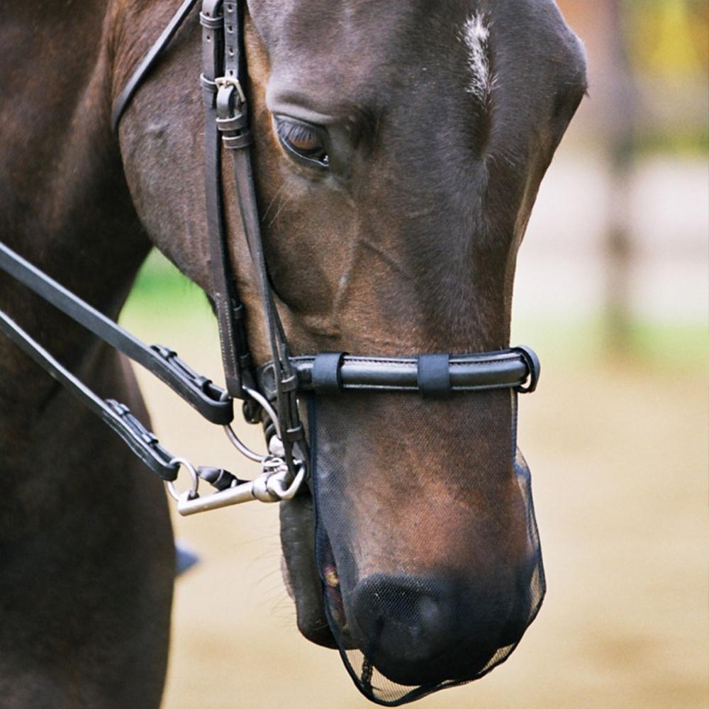 Close-up of a brown horse wearing an Equilibrium Net Relief Muzzle Net and bridle.