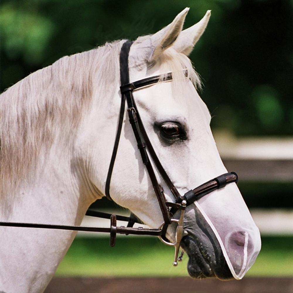 Close-up of a brown horse wearing an Equilibrium Net Relief Muzzle Net and bridle.