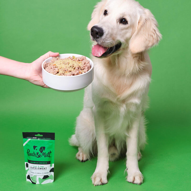 Golden retriever with food bowl and Pooch & Mutt Mobile Bones 200g on green background.