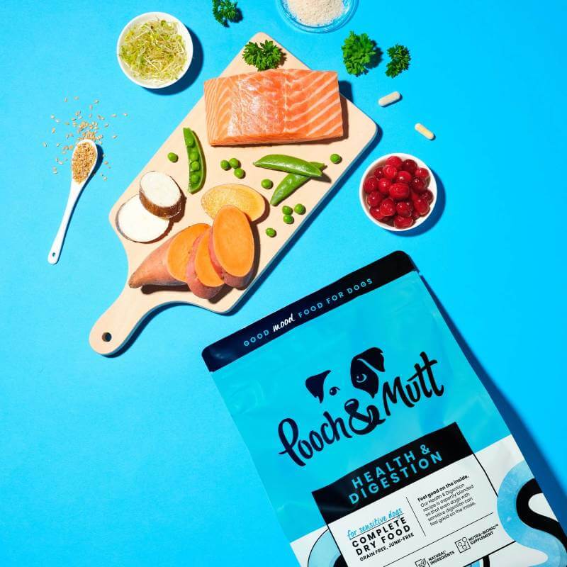 Pooch & Mutt Health & Digestion grain-free salmon dog food with veggies and berries.