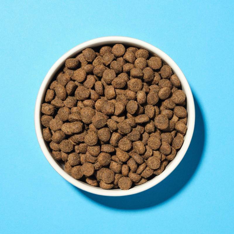 A white bowl of Pooch & Mutt Health & Digestion Dog Food on a blue background.