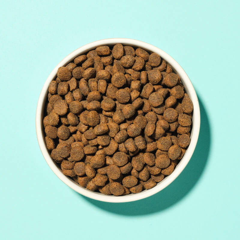 A bag of Pooch & Mutt Joint Care Premium Dog Food 2kg against a light blue background.