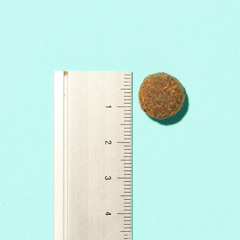 A Pooch & Mutt Joint Care kibble beside a ruler on a light blue background.