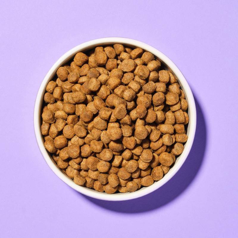 A bowl of Pooch & Mutt Slim & Slender Premium Dog Food sits on a purple background.