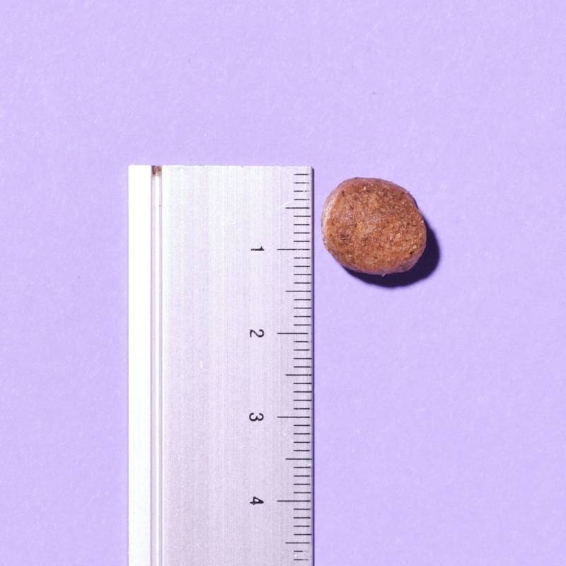 Pooch & Mutt Slim & Slender low fat kibble next to a ruler on a purple background.