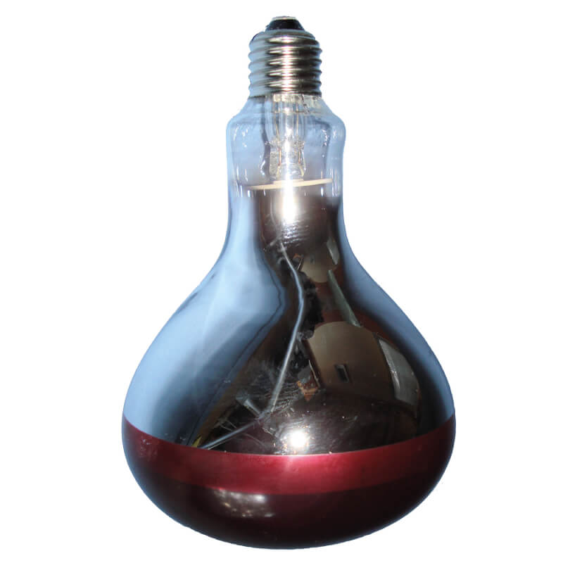 Intelec RR Infra-Red Bulb, red and water resistant, displayed on a white background.