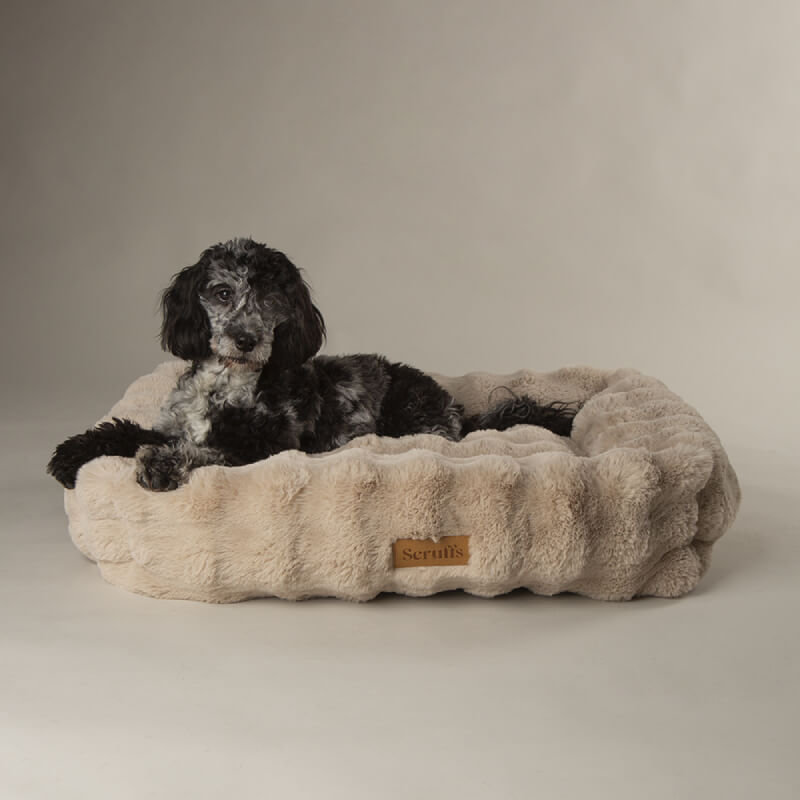 Black and gray dog in a Scruffs Alpine Box Bed Champagne by Scruffs against a plain background.