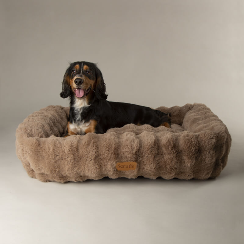 A dog lies in a Scruffs Alpine Box Bed Taupe, a fluffy rectangular pet bed by Scruffs.