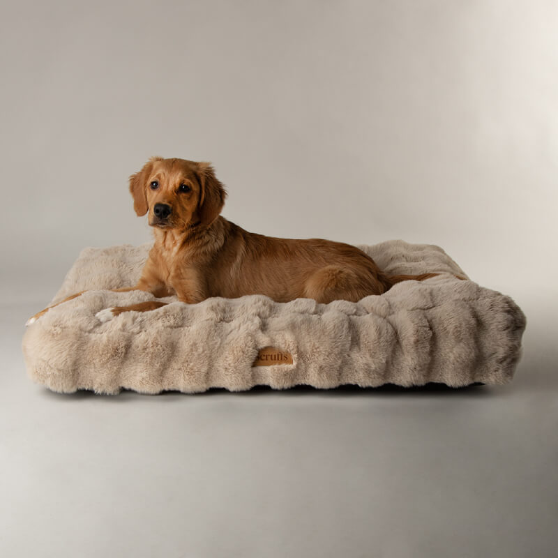 Golden retriever on a Scruffs Alpine Mattress Champagne by Scruffs, against a light background.
