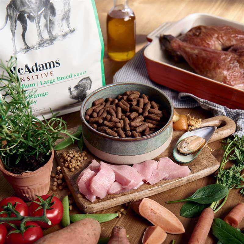 McAdams Dry Dog Food Turkey Sensitive served with raw veggies, herbs, and grain-free kibble.