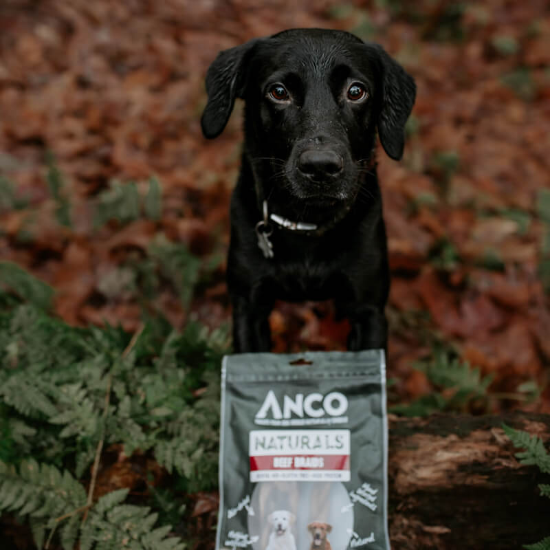 Anco Naturals Beef Braids 100g-Pet n Pony-Anco