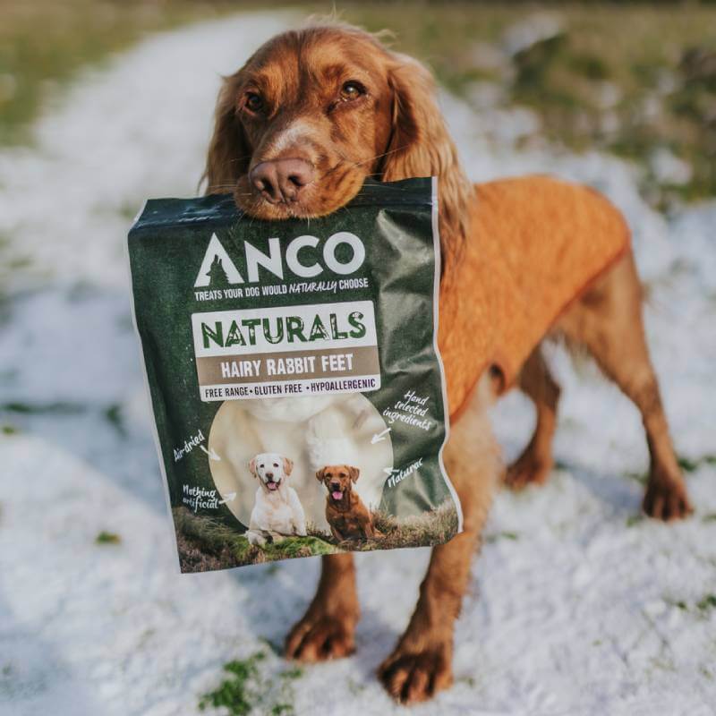 Anco Naturals Hairy Rabbit Feet 100g offers dogs natural digestive support, ideal for outdoors.