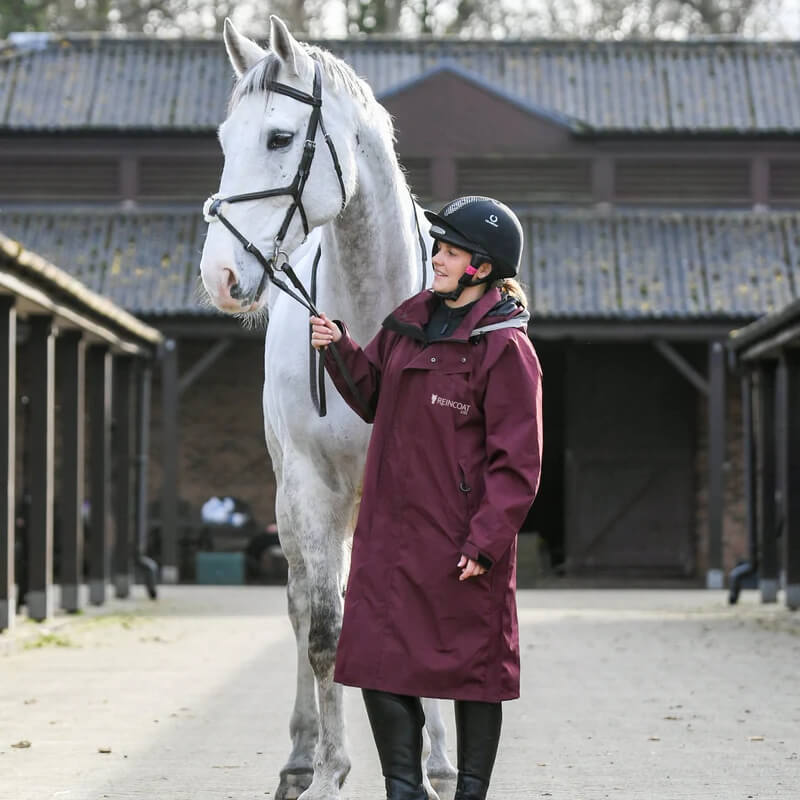 Person in a Reinwear Reincoat Lite Adult Burgundy leads a white horse at the stable.