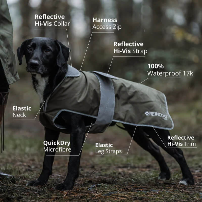 Black dog in a Reinwear Reincoat Dog Olive stands on a muddy path with grass and trees behind.
