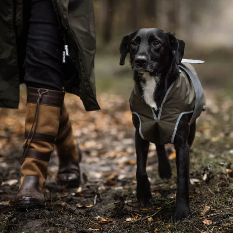 A dog in a Reinwear Reincoat Dog Olive walks beside a person on a leafy forest path.