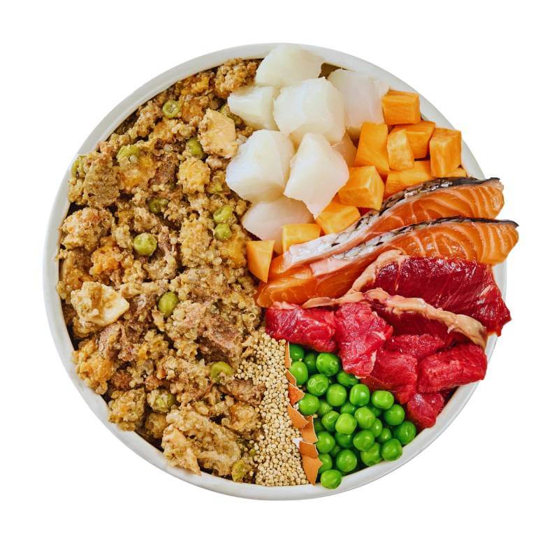 Wilsons Premium Fresh Dog Food Fish & Beef 380g with salmon, beef, peas & veggies.