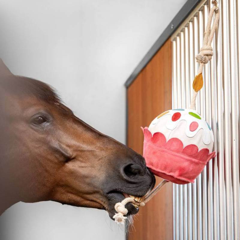 LeMieux Horse Toy Cupcake: a fun boredom breaker for your horse’s stall by LeMieux.