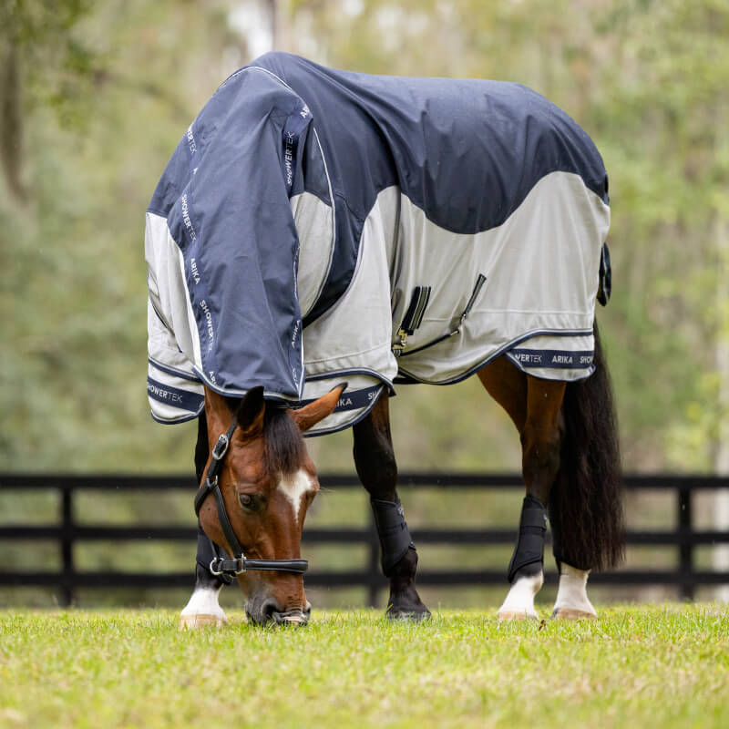 A horse in a LeMieux Arika Shower-Tek Fly Rug Navy grazes on grass in a fenced field.