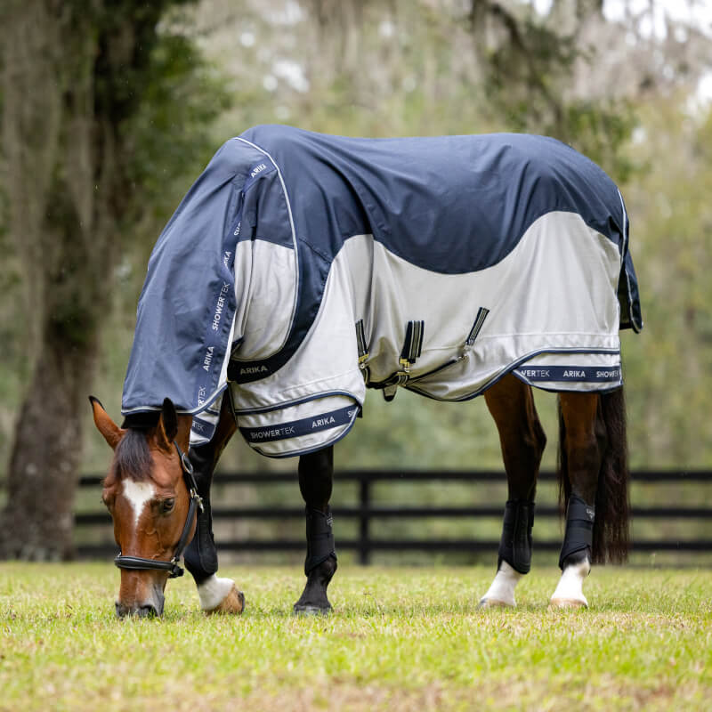 A brown horse in a LeMieux Arika Shower-Tek Fly Rug Navy grazes in a fenced grassy area.