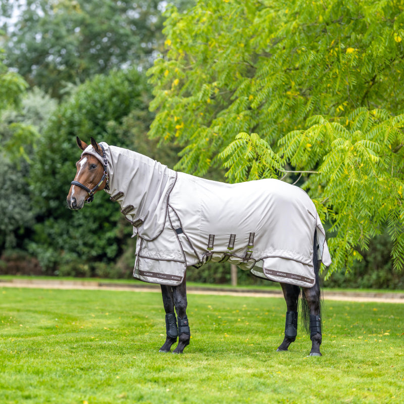 A horse in a LeMieux Kudos Sweet Itch Rug Stone stands on grass.