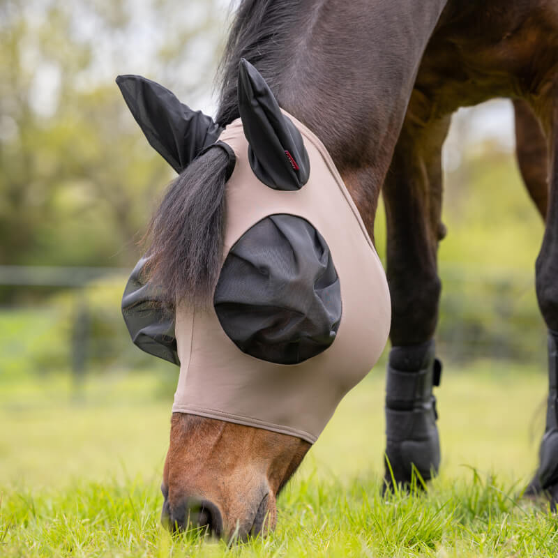 A brown horse outdoors wears a LeMieux Bug Relief Half Mask Walnut over its ears and eyes.