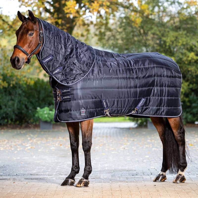 A dark horse in a LeMieux Arika Stable-Tek 200g Rug Navy stands outside a modern stable.
