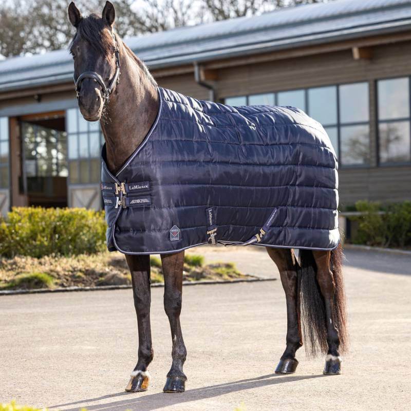 A black horse in a LeMieux Arika Stable-Tek 100g Rug Navy stands on pavement by a building.